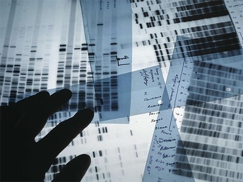 Выявлять генетические заболевания у новорожденных станет проще