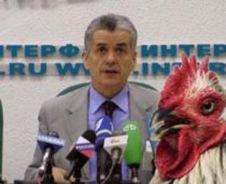 Онищенко пообещал съесть курицу, больную птичьим гриппом