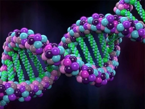 Как выделить ДНК в домашних условиях