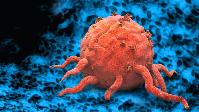 Раковые опухоли могут «впадать в спячку», скрываясь от химиотерапии 