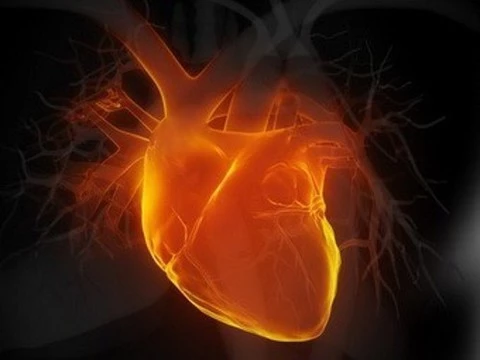 55-летние россияне умирают от болезней сердца чаще, [чем 75-летние французы]