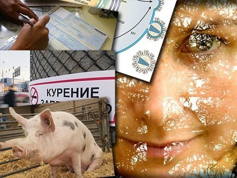 Что стоит за креативностью и как свиньи помогут больным детям