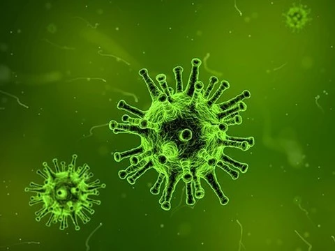 Вирусные гепатиты: заблуждения и факты