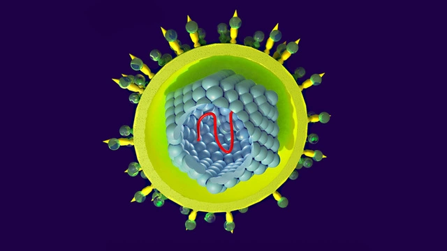 Нобелевскую премию по медицине 2020 получили открыватели вируса гепатита C