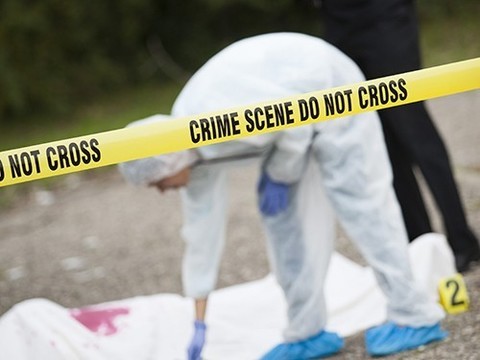 Убийство и самоубийство в госпитале Тампа