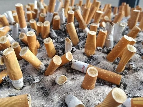 Легкие сигареты вызывают рак легкого и убивают так же эффективно, как обычные