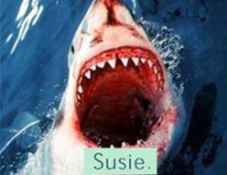 Британским курильщикам угрожают белая акула и гремучая змея