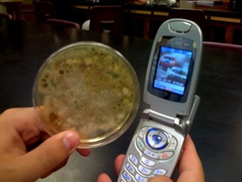 Мобильные телефоны оказались в 18 раз [грязнее рукояток бачков в общественных туалетах]