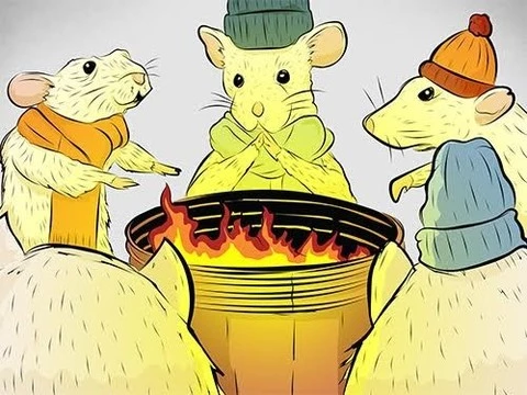 Результаты большинства экспериментов на мышах некорректны?