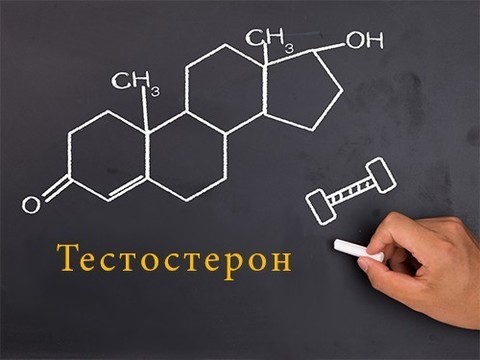 Гзт тестостероном для мужчин схема