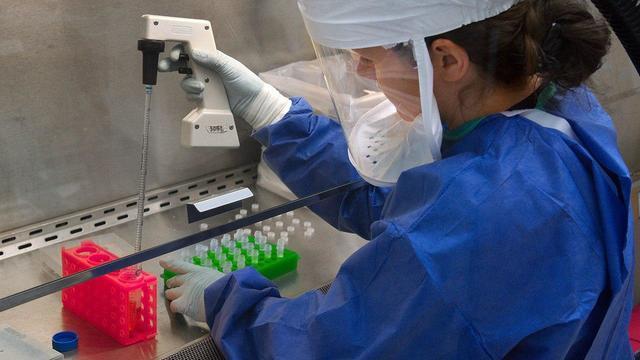 Приобретенный иммунитет хорошо защищает макак от COVID-19 - исследование