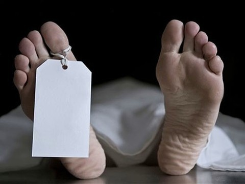 "Погибшая" в аварии женщина была обнаружена живой в холодильнике морга
