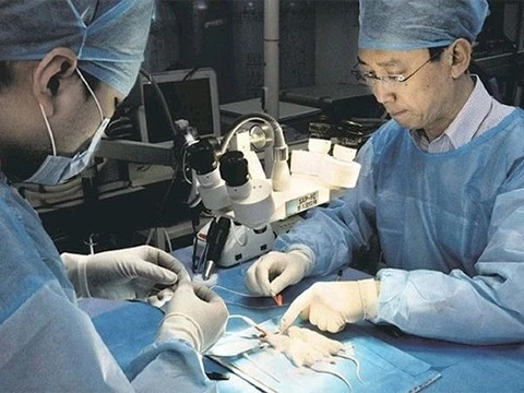 В Китае образовалась очередь из пациентов, готовых на пересадку головы