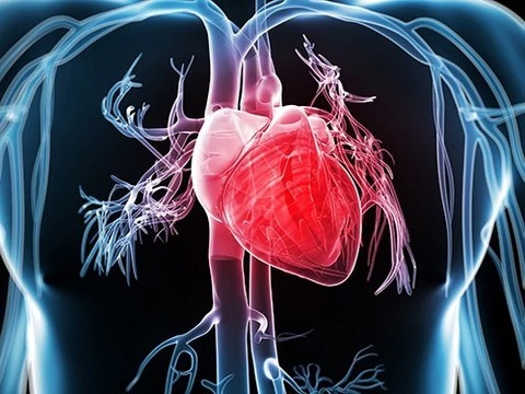 У 67-летнего американца диагностирован редкий порок сердца