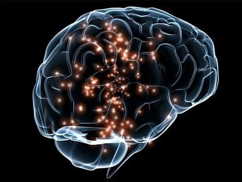 Мини-мозг для изучения болезни Паркинсона