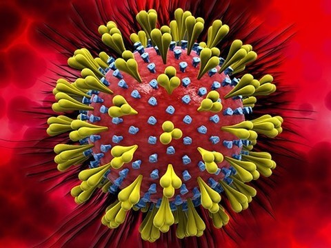 СМИ: В России зафиксировано 2 случая коронавируса