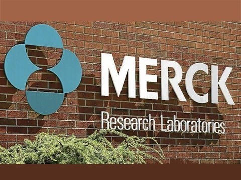 Лекарство от болезни Альцгеймера, которое действительно работает