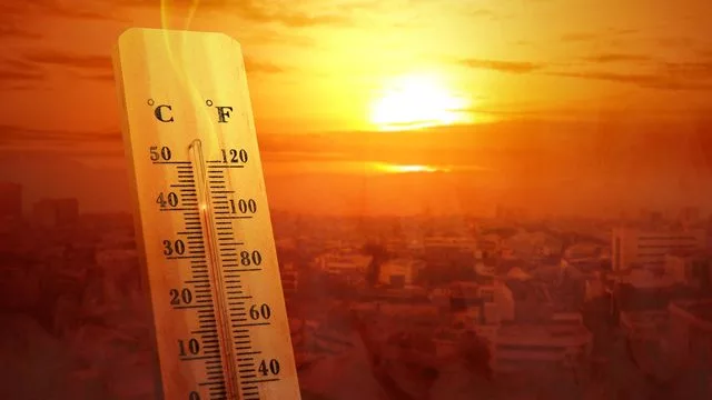 Аномальная жара ежегодно уносит сотни тысяч жизней — исследование 