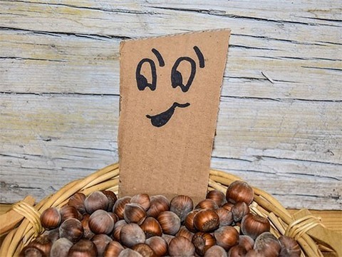 Обилие растительного белка в рационе положительно влияет на продолжительность жизни