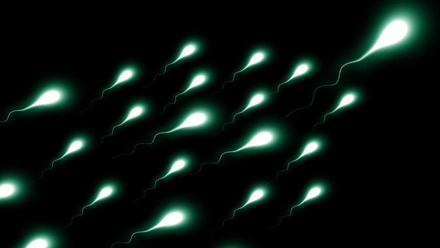 Коронавирус обнаружен в сперме. Но передача COVID-19 половым путем не доказана