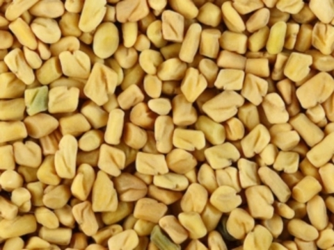Семена из Египта с кишечной палочкой [остались на европейском рынке]