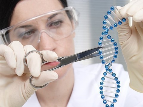 Американские ученые отредактировали геном эмбриона человека