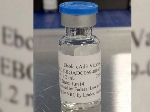 [С ноября начнутся клинические испытания] вакцин против вируса Эболы