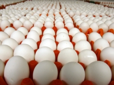 В США более 200 миллионов яиц [отозваны из продажи]
