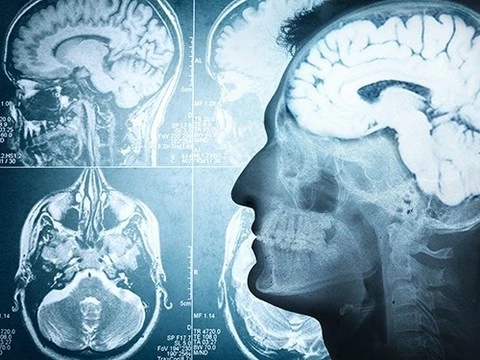 Мозг, иммунитет и память определяют одни и те же гены