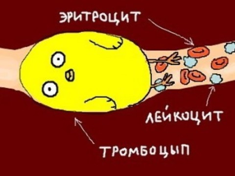 Интернет-художники о медицине