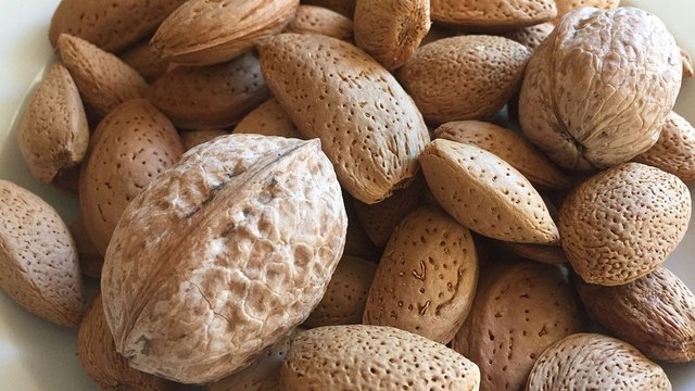 Грецкий орех, откуда пришло его название на английском и русском языке?