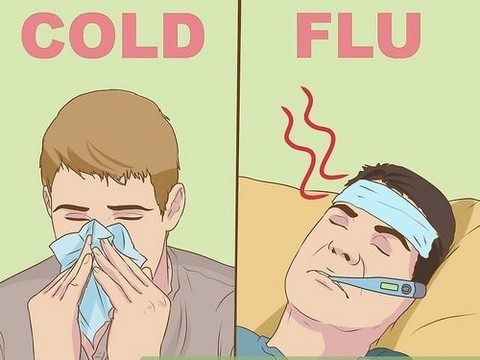 Ученые: Грипп нужно уметь отличать от обычной простуды