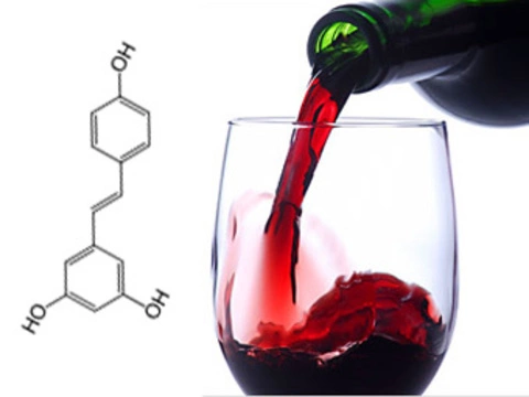 [Механизм действия полезного компонента красного вина] объяснили по-новому