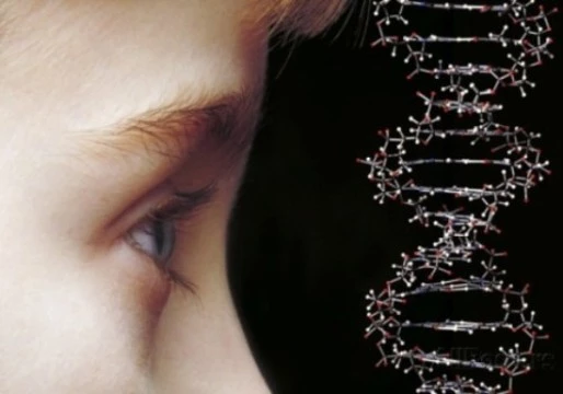 Обнаружено 12 новых генетических причин [нарушений развития у детей]