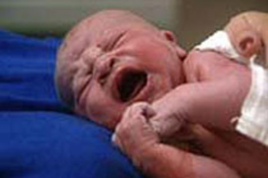 Минздрав Украины опровергает сообщения о [торговле органами новорожденных]