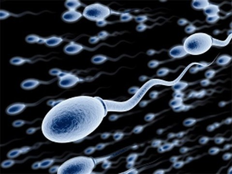 Тек транспорно бар сайт