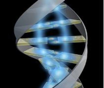 Обнаружен белок, ремонтирующий ДНК