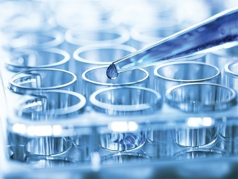 Обнаружены продуценты неизвестных ранее антибиотиков