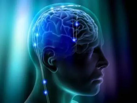 [Глубокая стимуляция мозга] приводит к образованию новых нервных клеток