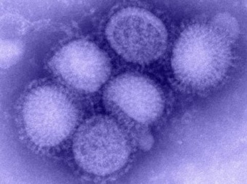 Смертность среди больных гриппом H1N1 [оказалась невысокой]