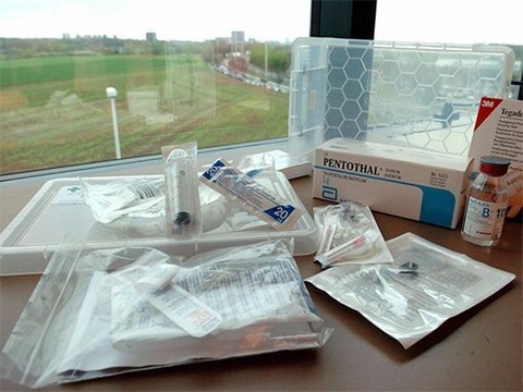В Нидерландах разрешили эвтаназию молодой женщине с постравматическим стрессовым расстройством