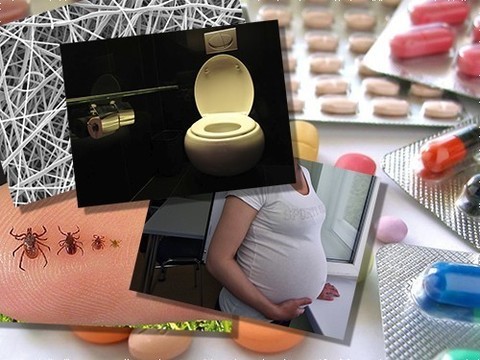 Ноктурия, клещи и клеточные спагетти