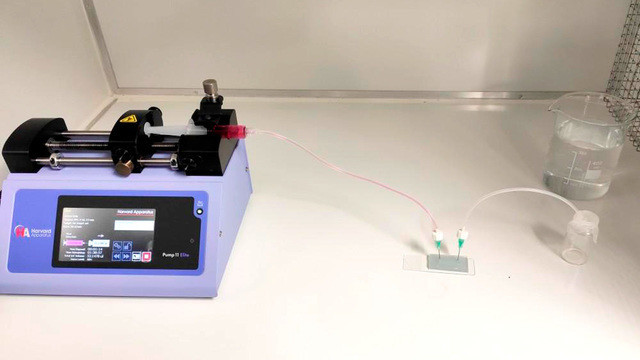 Новый биочип упрощает изготовление кожи в лаборатории