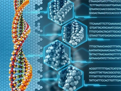 Обнаружена мутация, связанная с рассеянным склерозом