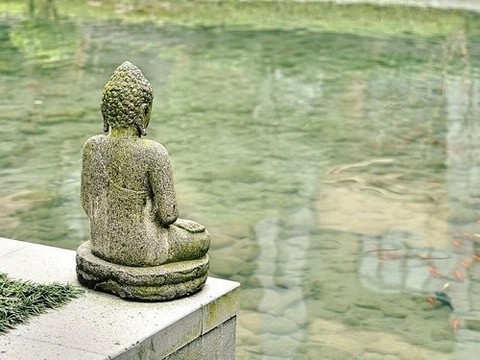 Медитация замедлила старение мозга тибетского монаха на 8 лет