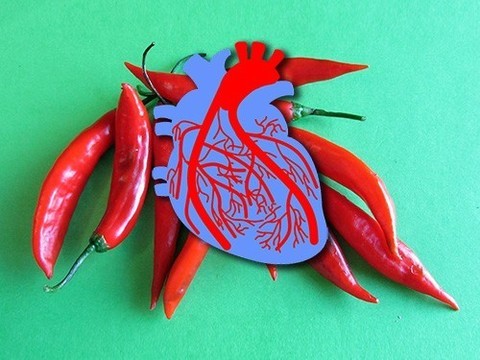 Ученые нашли связь между перцем чили болезнями сердца и сосудов. Рассказываем подробности