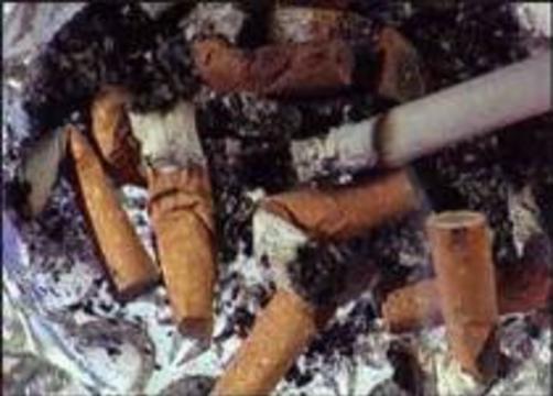 Американцы вырастили табак без канцерогенов