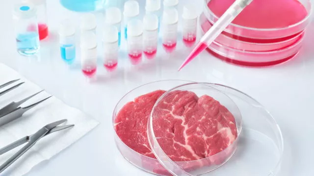 Ученые ставят под сомнение заявления о пользе заменителей мяса