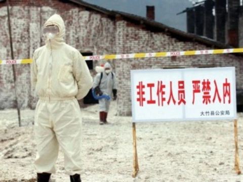 [Россияне начали отказываться] от поездок в Китай из-за чумы