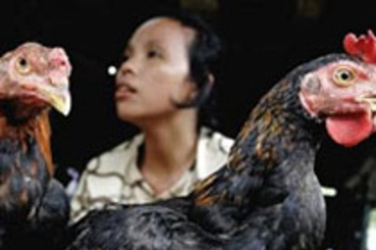 8-летняя индонезийка [умерла от птичьего гриппа]